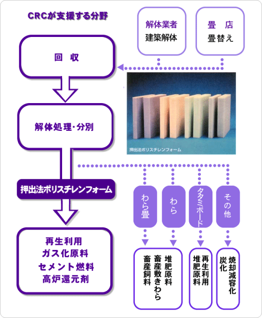 kCF胊TCNiC[W